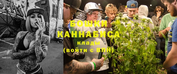 ГАЛЛЮЦИНОГЕННЫЕ ГРИБЫ Липки