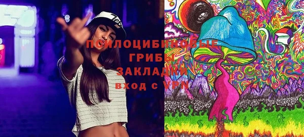 твердый Алзамай