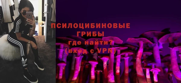 ГАЛЛЮЦИНОГЕННЫЕ ГРИБЫ Липки
