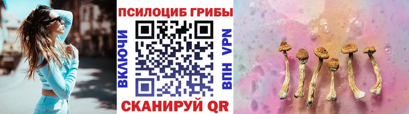 Галлюциногенные грибы мухоморы дарк нет Telegram Трёхгорный